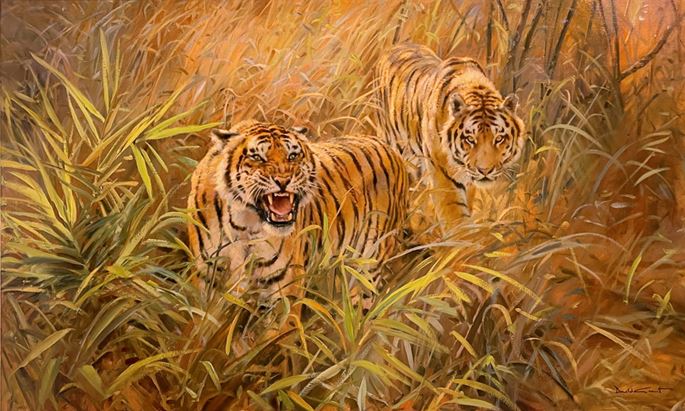 Donald Currie Grant - Two tigers | MasterArt